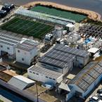 Projeto fotovoltaico na Necton