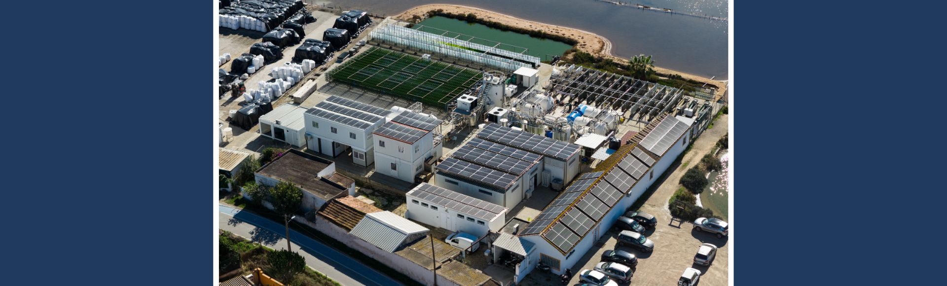 Projeto fotovoltaico na Necton
